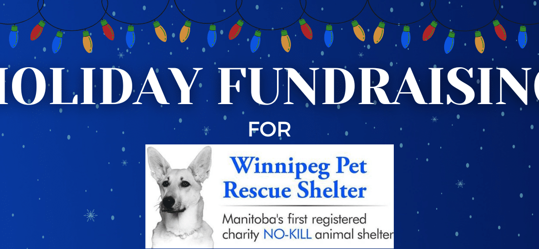 Holiday Fundraising for Winnipeg Pet Rescue