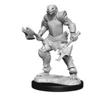 NMM Female Dragonborn Fighter Wave 15